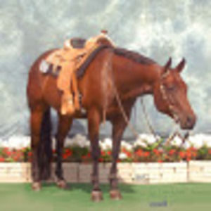 Meet your Posher, Kim d